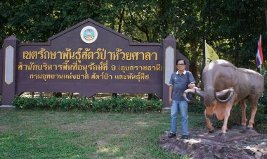 ความแตกต่างระหว่างอุทยานแห่งชาติกับเขตรักษาพันธุ์สัตว์ป่า