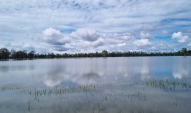 ศรีสะเกษน้ำท่วมยังไม่ลดมวลน้ำจากสุรินทร์ไหลสมทบห้วยทับทันสูงต่อเนื่อง