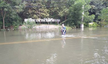 สถานีเพาะชำกล้าไม้ศรีสะเกษ น้ำเริ่มลดลงเล็กน้อยแต่ยังมีค่าความสูงเฉลี่ย