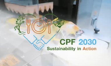 ซีพีเอฟให้ความสำคัญกับการผลิตอาหารปลอดภัย ควบคู่กับการใส่ใจดูแลสิ่งแวดล้อม ตั้งเป้าใช้บรรจุภัณฑ์พลาสติกรักษ์โลก 100% ใช้ซ้ำ ใช้ใหม่ ย่อยสลายได้