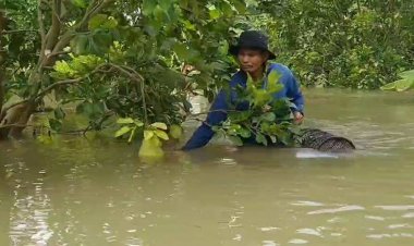เกษตรกรศรีสะเกษ ทุกข์ตรม.!! ปีกลายนาล่ม ปีนี้นาข้าว,พืชสวน,พืชไร่จมน้ำเสียหายย่อยยับ
