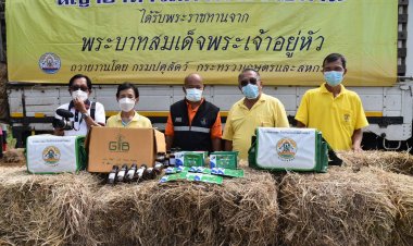 รักษาราชการผู้ว่าฯศรีสะเกษมอบหญ้าอาหารสัตว์พระราชทานให้แก่เกษตรกรผู้เลี้ยงวัวอุทุมพรพิสัย