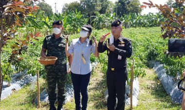 คณะทำงานมูลนิธิชัยพัฒนา ติดตามความก้าวหน้าโครงการทหารพันธุ์ดีน่าน