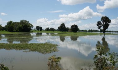 ระดับน้ำในแม่น้ำมูล บุรีรัมย์ สุรินทร์ ศรีสะเกษ อุบลราชธานี ยังคงเพิ่มสูงขึ้นต่อเนื่อง