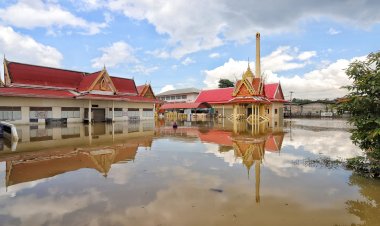 น้ำทะลักท่วมวัดโพธิ์เลื่อนเมืองปทุมฯ สูง 120 ซม. "ชาญ"ลุยน้ำให้อาหารสุนัข ย้ำทุกชีวิตล้วนมีค่า