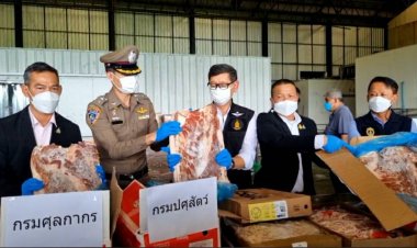 อึ้ง! ยังพบเกลื่อน ซากสัตว์ (ชิ้นส่วนสุกร,ขาไก่) ลักลอบนำเข้าโดยไม่ได้รับอนุญาต ยังหลั่งไหลเข้าประเทศอย่างต่อเนื่อง