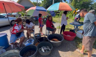 น้ำท่วมปลาลอยมากับน้ำคนอีเฒ่าแห่ออกจับปลาจุนเจือครอบครัว ได้วันละ 200-300 บาท