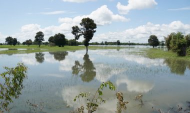 ชลประทานศรีสะเกษวิเคราะห์ สถานะการณ์น้ำศรีสะเกษ อ่างเก็บน้ำ16 แห่งมีแนวโน้มลดลง ลุ่มน้ำวิเคราะห์เจาะลึกว่าทรงตัว