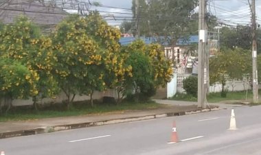 สนธิกำลังเข้าตรวจสอบเหตุคนร้ายขว้างปาระเบิดไฟป์บอมย์ห่างจากอำเภอสะบาย้อย 2 เมตร