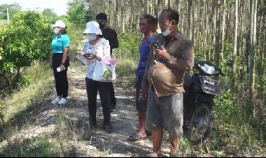 ประมงอำเภอกบินทร์บุรีลงพื้นที่จัดชุดเฝ้าระวังจระเข้หลังชาวบ้านพบโผล่อยู่สวนฝรั่ง