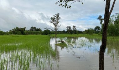 "เซินกา"มาแล้ว!ฝนกระหน่ำอำนาจเจริญ-ปภ.เตือนรับมือน้ำท่วมระลอก 2 ลมหนาวเริ่มมาเยือน