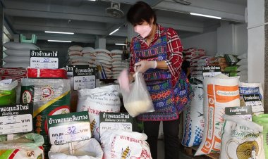 น้ำท่วมโรงสี นาข้าวล่ม!ร้านขายข้าวสารเมืองขอนแก่นปรับราคากก.ละ 2 บาท