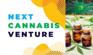 นวัตกรรมยาใหม่กัญชาเพื่อการแพทย์และทางออกของเศรษฐกิจไทย