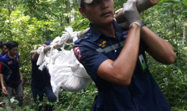 สลด!ลุงกับป้า เข้าป่าหาเห็ดโดนผงะ...!?! เจอช้างป่า วิ่งหนี สุดท้าย ลุงโดนช้างวิ่งไล่เหยียบ!!เสียชีวิต