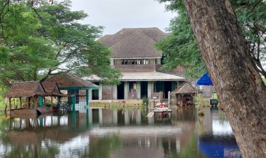 ปรับตัวรับน้ำท่วม!บ้านเขียว อ.ผักไห่ น้ำท่วมใต้ถุนบ้านเมตรเศษแต่ไร้ผลประผลกระทบยกใต้ถุนสูงอีก 1.5 เมตร