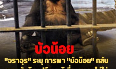 "วราวุธ" ระบุ การพา "บัวน้อย" กลับเยอรมันต้องปรึกษาผู้เชี่ยวชาญ ไม่ใช่ตัดสินใจเอง ขั้นตอนยังอีกนาน