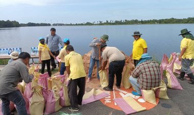 โครงการชลประทานศรีสะเกษ นำจิตอาสากรอกกระสอบทรายเพื่อเพิ่มระดับเก็บกัก อ่างเก็บน้ำห้วยน้ำคำ