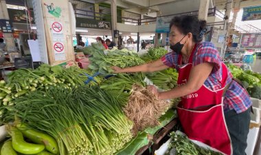 ขอนแก่นน้ำท่วมเริ่มคลี่คลายผักสดราคาลดลงต่อเนื่องเหตุผักรุ่นสองออกสู่ท้องตลาดเพิ่ม