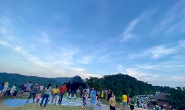 วังน้ำเขียว-เขาใหญ่คึกคัก นักท่องเที่ยวแห่สัมผัสลมหนาว  ชมพระอาทิตย์ลับขอบฟ้า ดูกระทิงป่า เขาแผงม้า