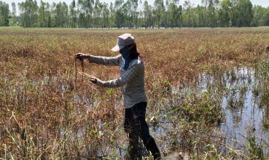 เกษตรกรวอนธ.ก.ส.ผ่อนผันหนี้หลังนาข้าวจม 2 รอบเสียหายหนักรอบ 20 ปี