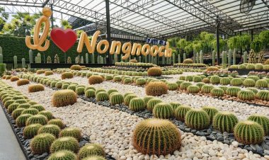 สวนนงนุชพัทยา ขยายโปรโมชั่นซื้อบัตร 1 ฟรี 1 ต้อนรับลมหนาวตลอดเดือนพฤศจิกายน