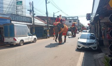 ยิ่งใหญ่!ขบวนช้างเชิญองค์กฐินวัดแจ้งเมืองเก่าประจันตคามสมทบทุนสร้างเสนาสนะ พระพุทธปฐม-กุฎีสงฆ์