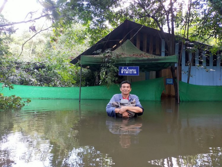 สถานีเพาะชำกล้าไม้ศรีสะเกษ จมบาดาลมาแล้ว2วัน ระดับน้ำสูงขึ้นต่อเนื่อง