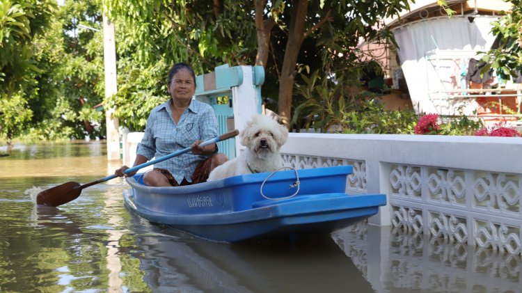 เดือดร้อนหนัก!ชุมชนริมน้ำเมืองปทุมธานีอ่วมทุกพื้นที่หลังเขื่อนเจ้าพระยาเพิ่มการระบายน้ำ