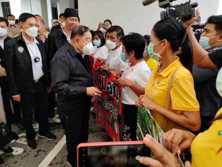 “พล.อ.ประวิตร”ลุยสุราษฎร์ธานีดันราคาปาล์มน้ำมัน คาดปีนี้เงินสะพัด 1.5 แสนล้าน