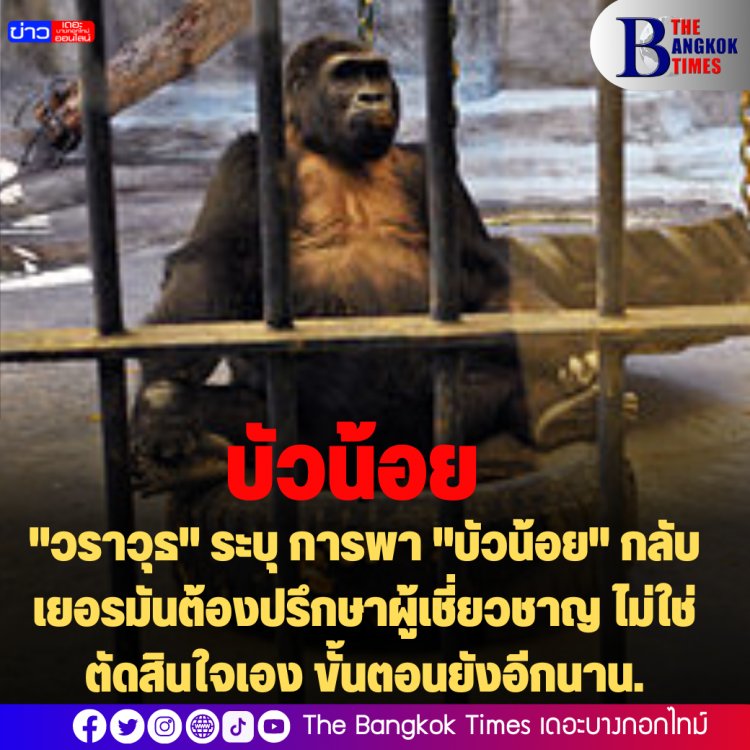 "วราวุธ" ระบุ การพา "บัวน้อย" กลับเยอรมันต้องปรึกษาผู้เชี่ยวชาญ ไม่ใช่ตัดสินใจเอง ขั้นตอนยังอีกนาน