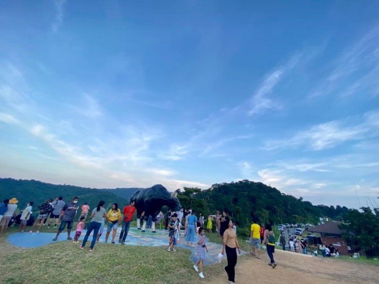 วังน้ำเขียว-เขาใหญ่คึกคัก นักท่องเที่ยวแห่สัมผัสลมหนาว ชมพระอาทิตย์ลับขอบฟ้า ดูกระทิงป่า เขาแผงม้า
