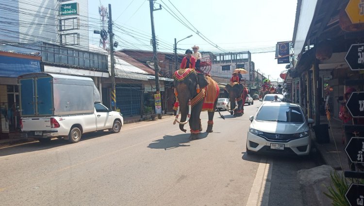 ยิ่งใหญ่!ขบวนช้างเชิญองค์กฐินวัดแจ้งเมืองเก่าประจันตคามสมทบทุนสร้างเสนาสนะ พระพุทธปฐม-กุฎีสงฆ์