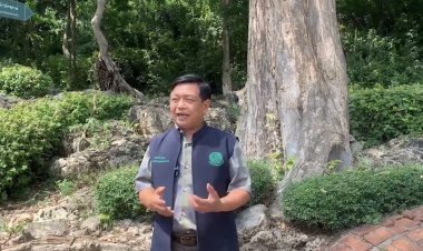 “อลงกรณ์”แปลกใจ”ยุทธพล”คัดค้านโครงการแก้ปัญหาลิงแสมจังหวัดเพชรบุรี