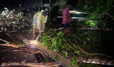 ระทึก!ดินไสลน์ทำให้ต้นไม้ เสาไฟฟ้าโค้นล้มปิดถนนพื้นที่จะแนะนราธิวาส