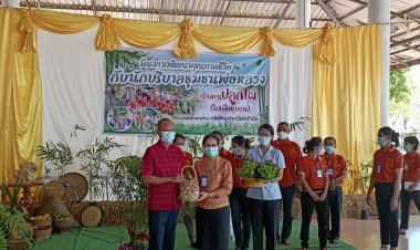 นอภ.ขุนหาญ มอบไม้ไผ่ 7 ชุมชน ตามโครงการพัฒนาคุณภาพชีวิตนักบริบาลชุมชนพ่อหลวง