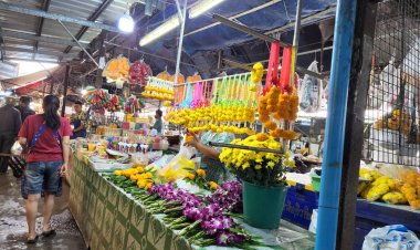 ลอยกระทงเมืองปราจีนฯปีนี้!ตลาดขายส่ง ต้นกล้วย ใบตอง ดอกไม้ เครื่องประกอบกระทงคึกคักเป็นพิเศษ