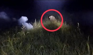 แตกตื่นทั้งซอย!ช้างป่าบุกหมู่บ้านพังกำแพงรั้วหลังได้กลิ่นทอดปลายั่วน้ำลาย