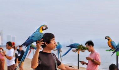 ปล่อยนกบินอิสระที่นาจอมเทียนเติมความสุข สร้างความเพลิดเพลินทั้งคนและนก