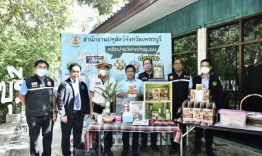 “อลงกรณ์”ผนึกปศุสัตว์ตั้งทีมพัฒนาโคขุน โคนม โคพื้นเมืองและวัวลานแบบครบวงจรสู่มาตรฐานใหม่