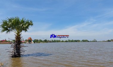 น้ำยังเต็มทุ่งนาแก้มลิง…โดยหลายอำเภอ ในเขต จ.พระนครศรีอยุธยา ยังมีระดับน้ำท่วมขังสูงอยู่