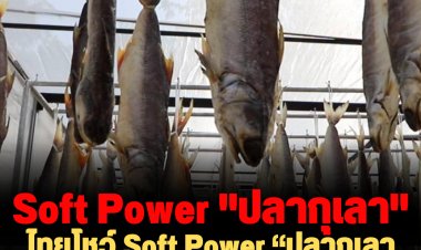 Soft Power “ปลากุเลาจากตากใบ” ในเวทีเอเปค 2022