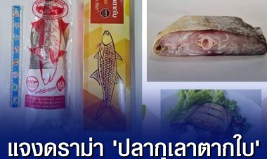 รัชดา' แจงดราม่า 'ปลากุเลาตากใบ' ยืนยันซื้อจริงร้านป้าอ้วนโอท็อป 5 ดาว ตอนนี้ขายดีสุดๆ