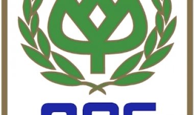 ซีพีเอฟ กำไรไตรมาส 3 ปีนี้ เติบโต 195%จากปีก่อน ราคาหมูในจีนฟื้นตัว แนวโน้มดีต่อเนื่อง