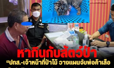 “ปทส.-เจ้าหน้าที่ป่าไม้ วางแผนจับพ่อค้าเสือโคร่งข้ามชาติ ติดต่อขาย 4 ตัว 2 ล้าน พบลักลอบขนข้ามโขงมาจากประเทศเพื่อนบ้าน”