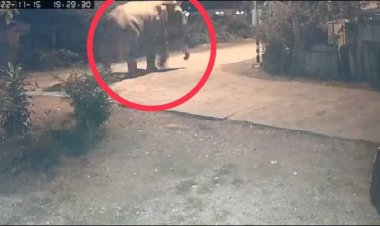 ระทึก!ช้างป่าสีดอโหนกมาหาถึงบ้านสาวโดดเปลหนีเข้าบ้าน