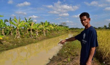 โจรแสบ​ย่องขโมยปลาเกษตรกร- ผญบ.โครงการโคกหนองนาโมเดลเกือบเกลี้ยงบ่อ