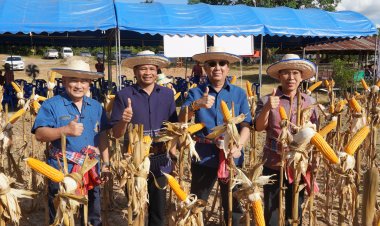 สถาบันปิดทองหลังพระฯ จับมือ “ราชการ-เอกชน” กำหนดกติการ่วมทุน ลดความเสี่ยงให้เกษตรกรและรักษาสิ่งแวดล้อม