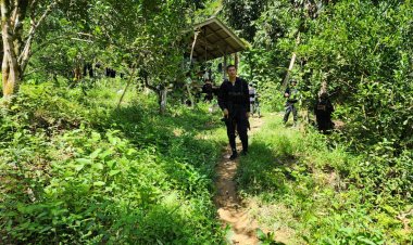 ปะทะเดือด!เทือกเขาช้างเผือกจะแนะเมืองนราธิวาสจนท.วิสามัญนักรบจูแว 1 ศพ