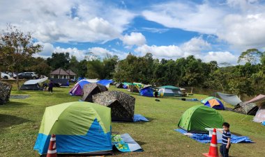 หยุดยาวเอเปค!เขาใหญ่ใกล้กทม.ที่สุดคึกคักนักท่องเที่ยวแห่งกาเต๊นท์สัมผัสอากาศหนาวเย็น