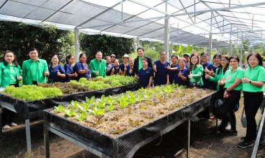 ปลูกผักยกแคร่ หนีน้ำท่วมสู่การสร้างอาชีพ สร้างรายได้ และแก้ไขปัญหาหนี้ กับโมเดล D&MBA ขอนแก่น